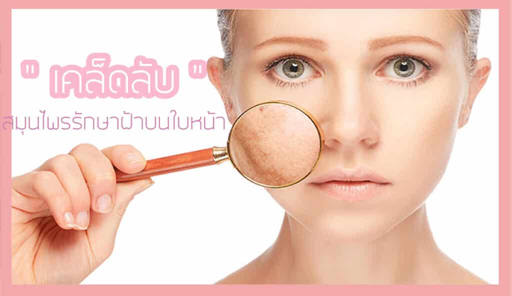 เคล็ดลับสมุนไพร
